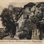 Kohlmannsgarten_00